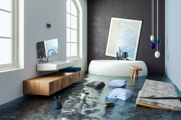 Best Professional water damage repair  in San Rafael, NM