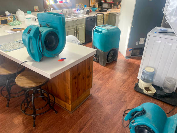 Best Flooded house restoration  in San Rafael, NM