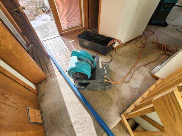 Best Water damage contractors near me  in San Rafael, NM