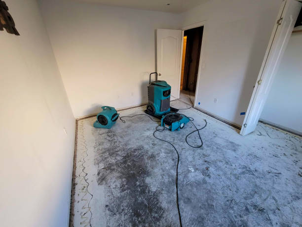  San Rafael, NM Water damage restoration Pros