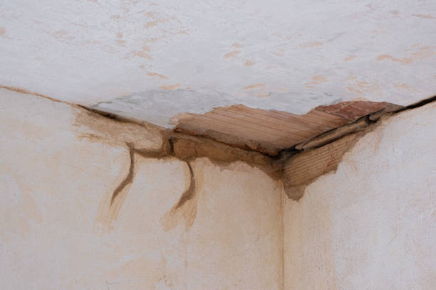 Best Water damage restoration near me  in San Rafael, NM