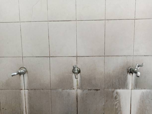 Best Sewage cleanup and water damage restoration  in San Rafael, NM