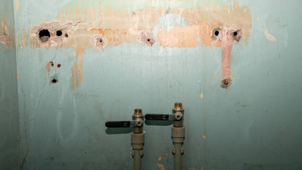 Best Flood damage cleanup  in San Rafael, NM