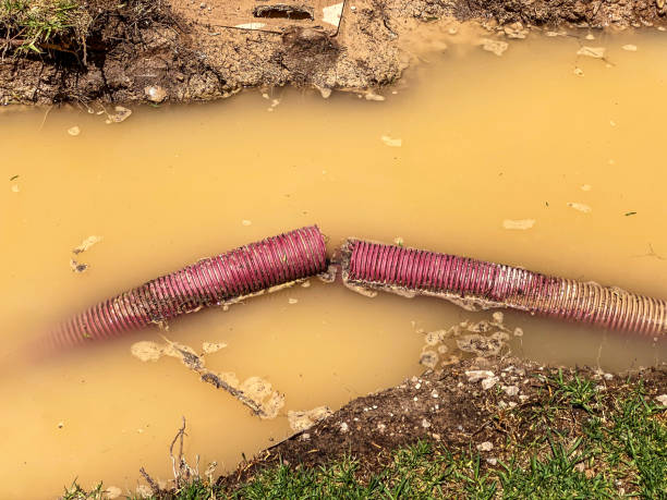 Best Basement water damage restoration  in San Rafael, NM