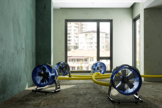 Best Fire Damage Restoration  in San Rafael, NM